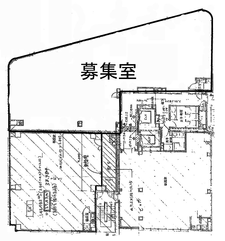 サンロータスビル 503~504階 228.1㎡