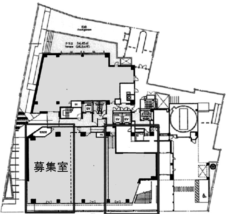 マンサード代官山 1階 175.54㎡