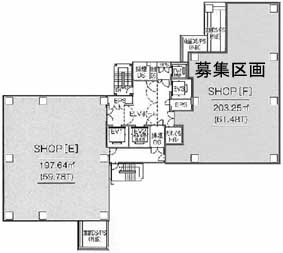 アルボーレ銀座 3F階 203.24㎡
